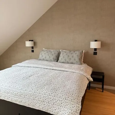 Διαμέρισμα Renovated Όσλο